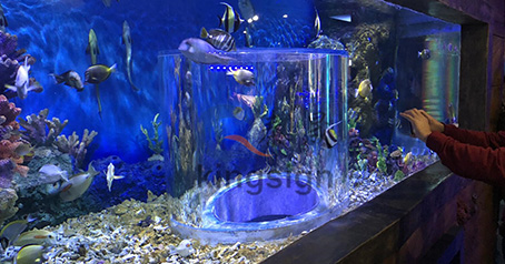 Wuxi ocean underworld aquarium project.