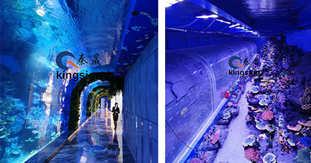 Ocean aquarium tunnel project.