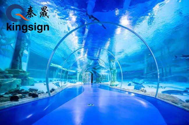 Acrylic underwater tunnel takes you to enjoy the underwater world